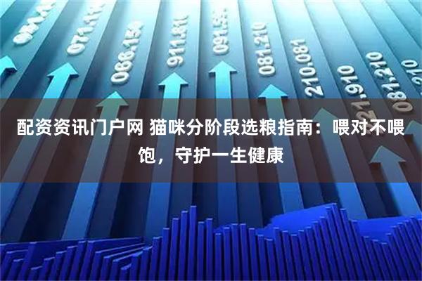 配资资讯门户网 猫咪分阶段选粮指南：喂对不喂饱，守护一生健康